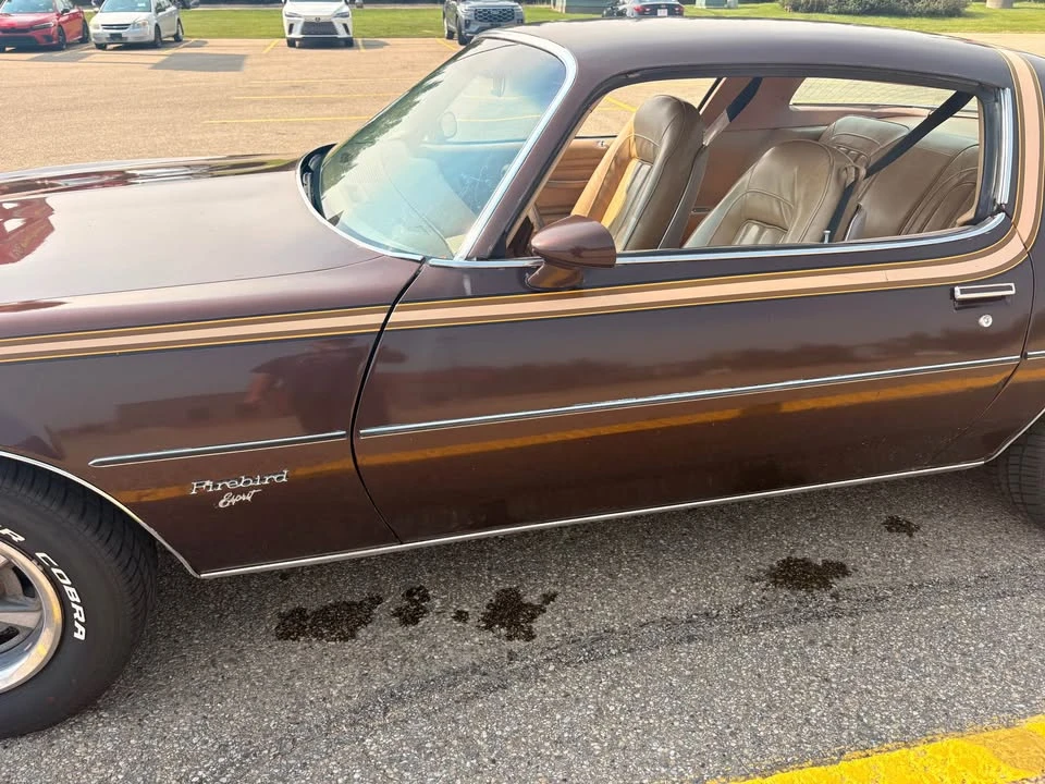 1977 Pontiac Firebird 2nd Gen - Image 8 of 18