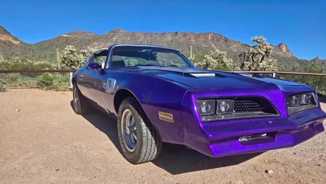 1977 Pontiac Firebird T-Tops