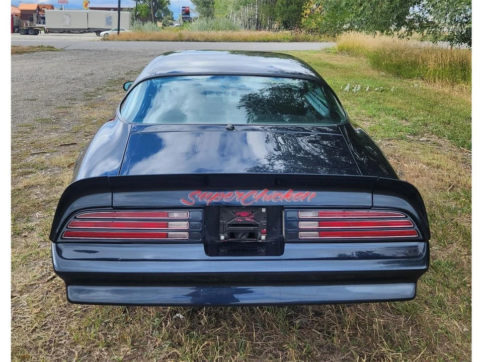 1977 Pontiac Firebird Trans Am 2nd Gen - Image 6 of 31