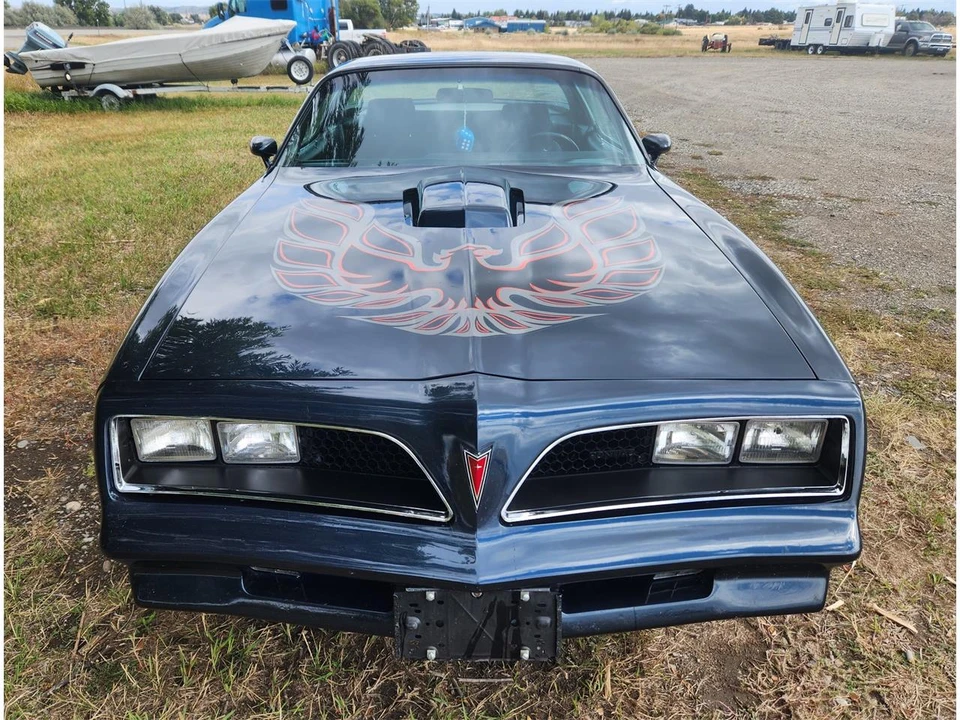 1977 Pontiac Firebird Trans Am 2nd Gen - Image 10 of 31