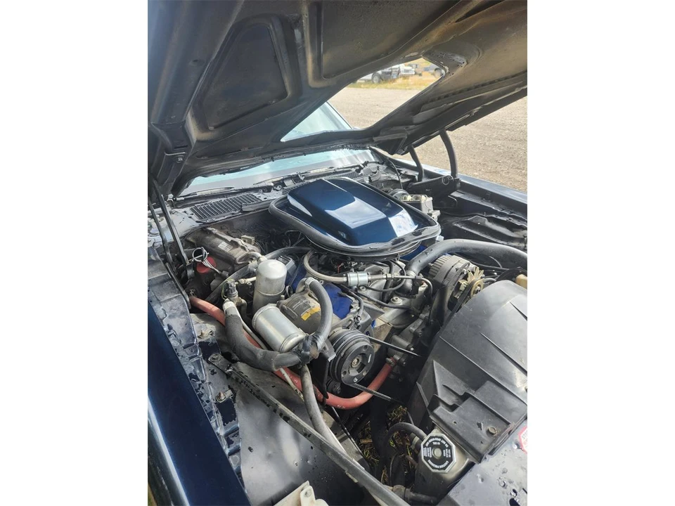 1977 Pontiac Firebird Trans Am 2nd Gen - Image 28 of 31