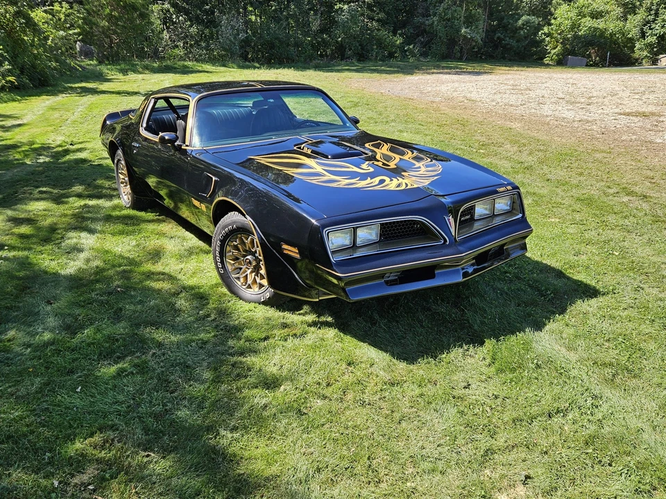 1977 Pontiac Firebird Trans Am 2nd Gen - Image 10 of 31