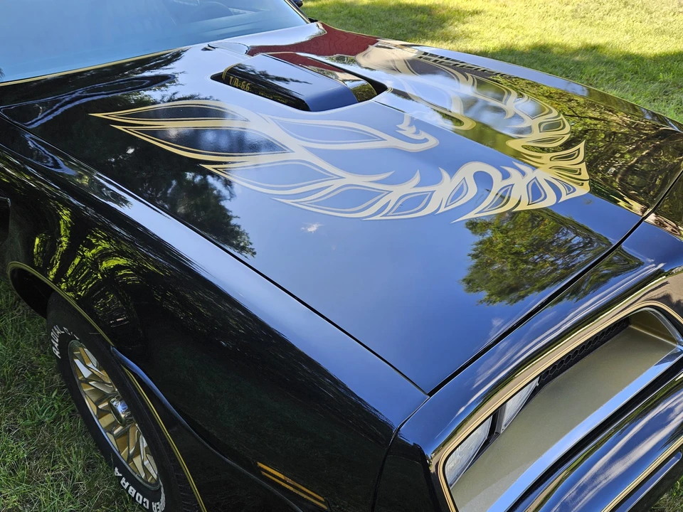 1977 Pontiac Firebird Trans Am 2nd Gen - Image 30 of 31