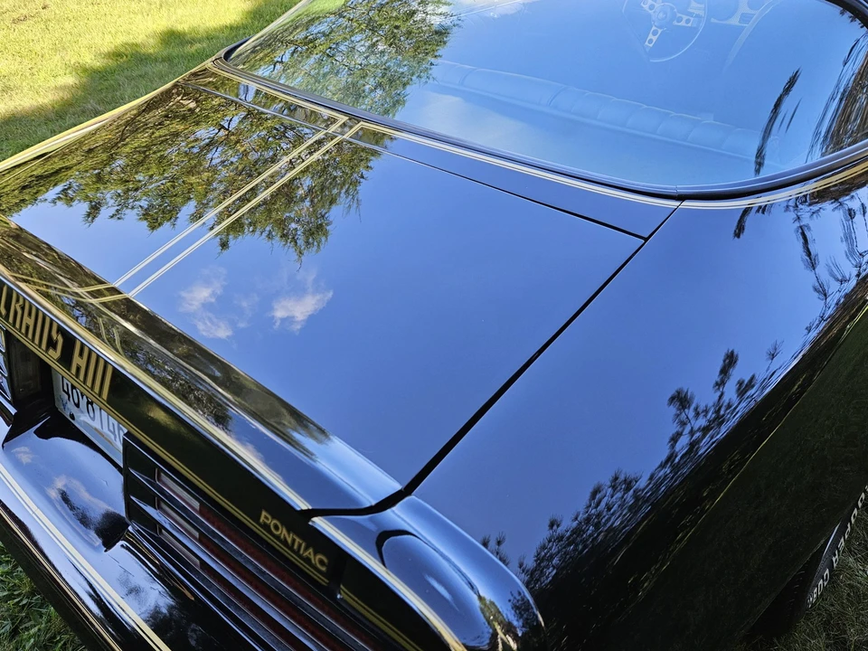 1977 Pontiac Firebird Trans Am 2nd Gen - Image 21 of 31