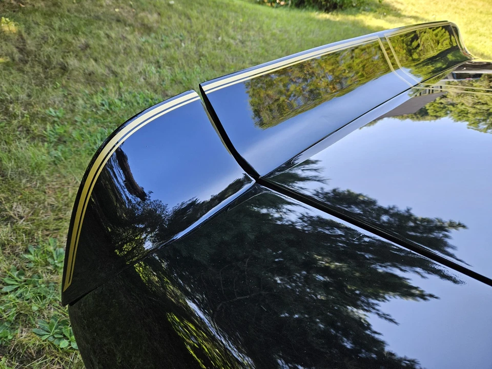 1977 Pontiac Firebird Trans Am 2nd Gen - Image 29 of 31