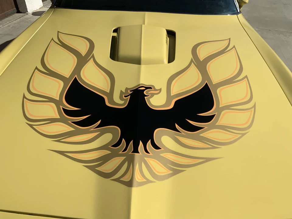 1977 Pontiac Firebird Trans Am 2nd Gen - Image 17 of 31