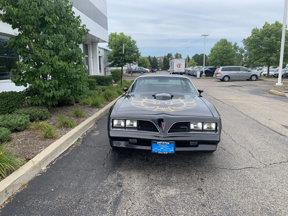 1977 Pontiac Firebird Trans Am 2nd Gen - Image 2 of 31