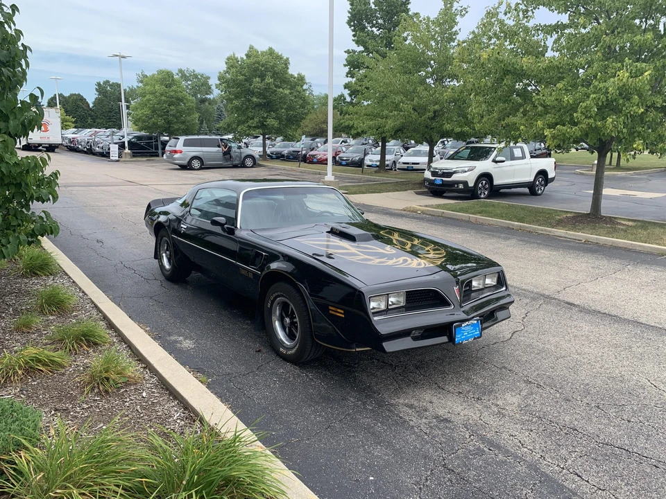 1977 Pontiac Firebird Trans Am 2nd Gen - Image 15 of 31