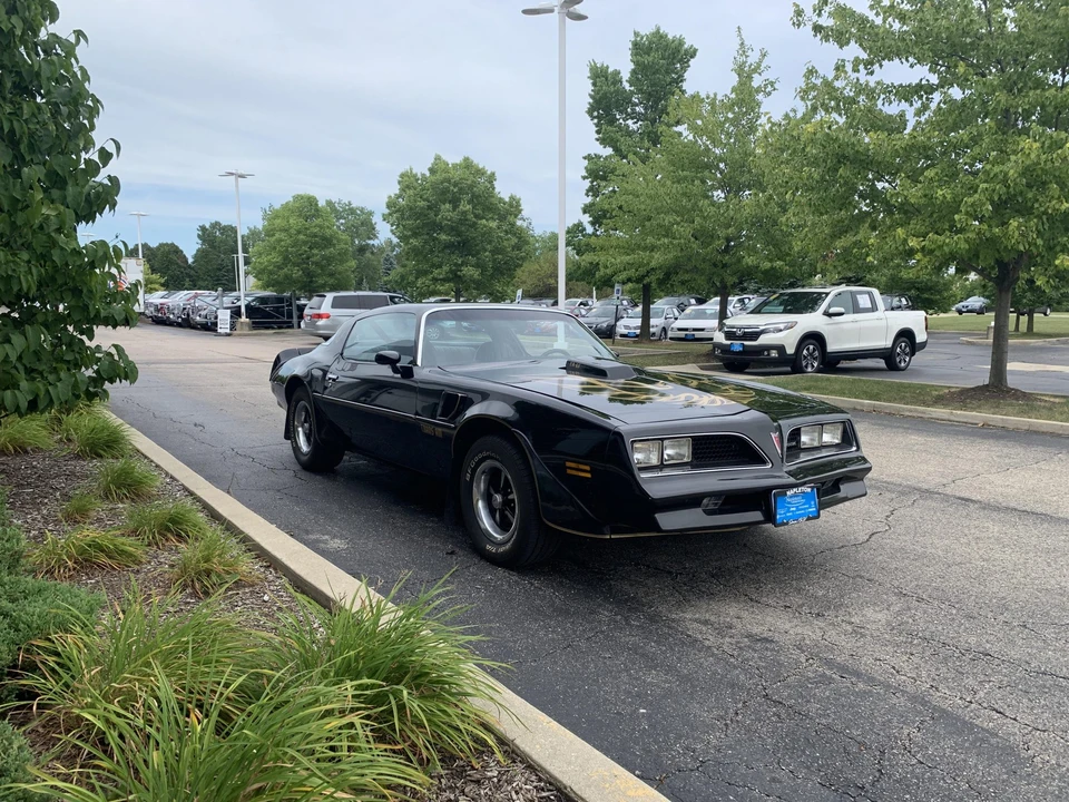 1977 Pontiac Firebird Trans Am 2nd Gen - Image 16 of 31