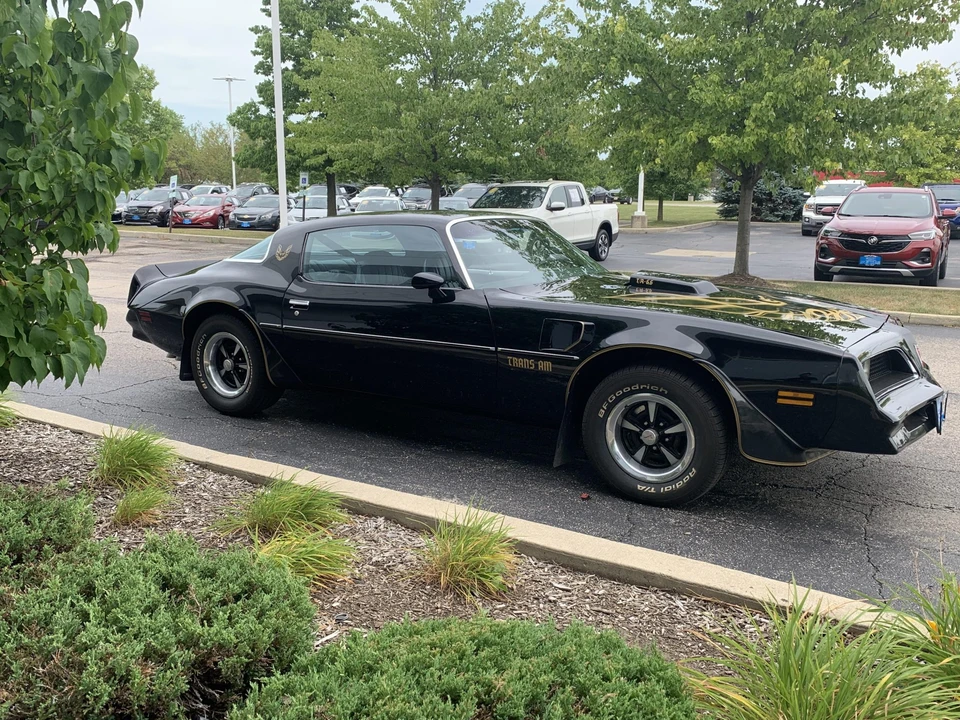 1977 Pontiac Firebird Trans Am 2nd Gen - Image 14 of 31