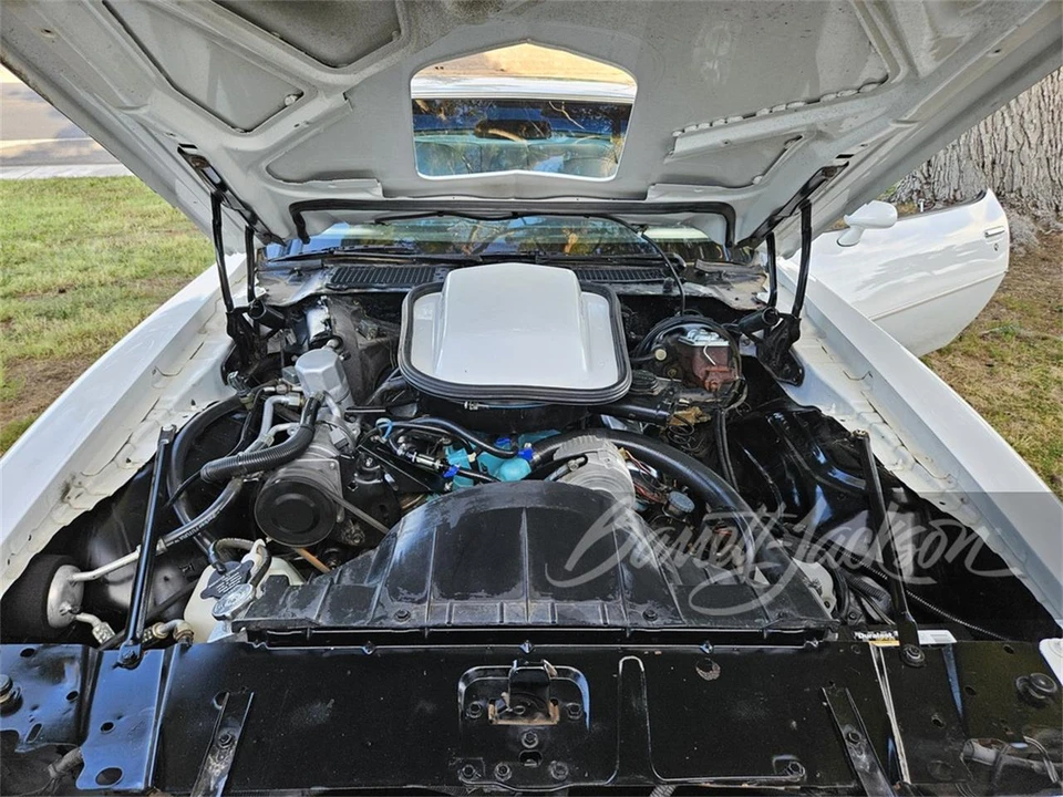 1977 Pontiac Firebird Trans Am 2nd Gen - Image 5 of 5