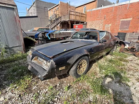 1977 Pontiac Firebird Trans Am Convertible 2D