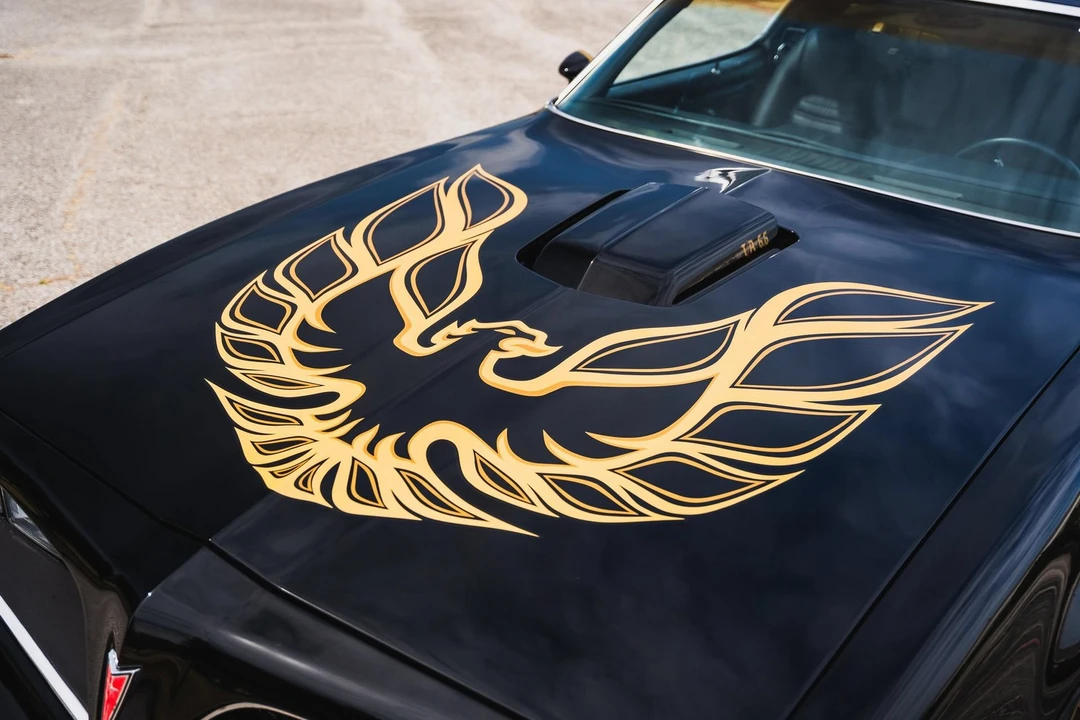 1977 Pontiac Firebird Trans Am 2nd Gen - Image 10 of 31