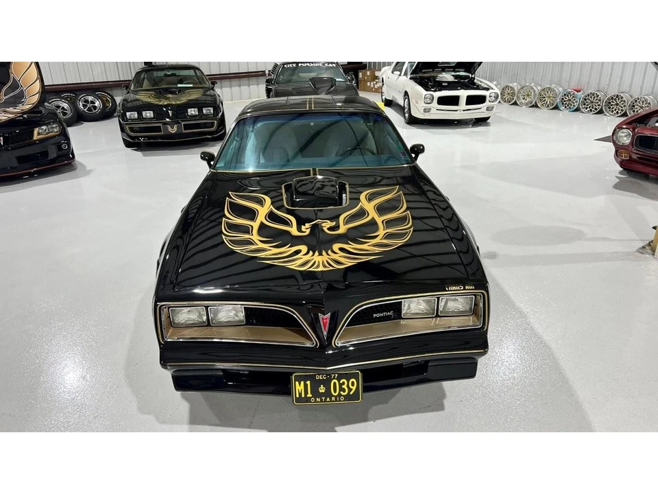 1977 Pontiac Firebird Trans Am 2nd Gen - Image 14 of 31