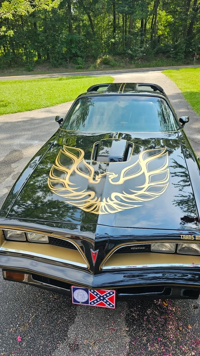 1977 Pontiac Firebird Trans Am 2nd Gen - Image 15 of 31