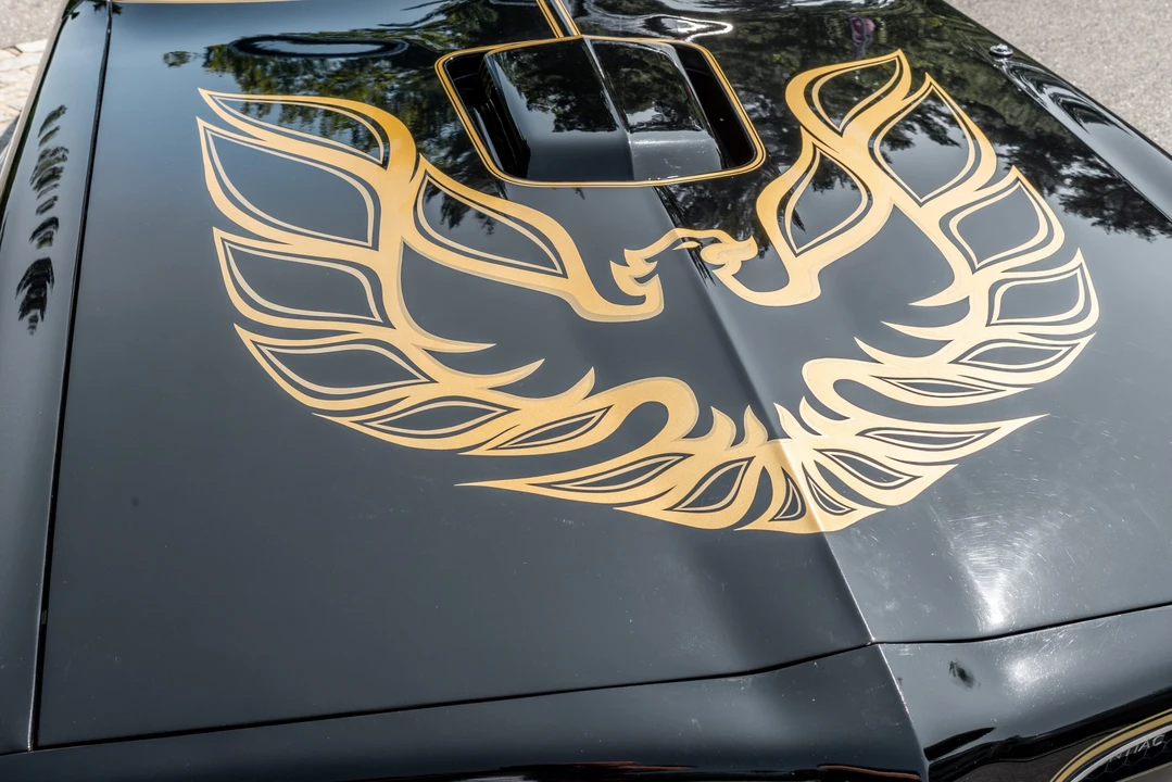 1977 Pontiac Firebird Trans Am 2nd Gen - Image 16 of 31