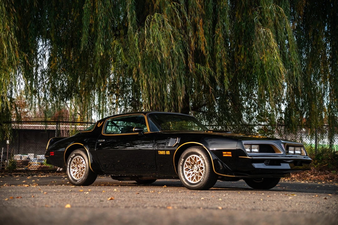 1977 Pontiac Firebird Trans Am 2nd Gen - Image 30 of 31