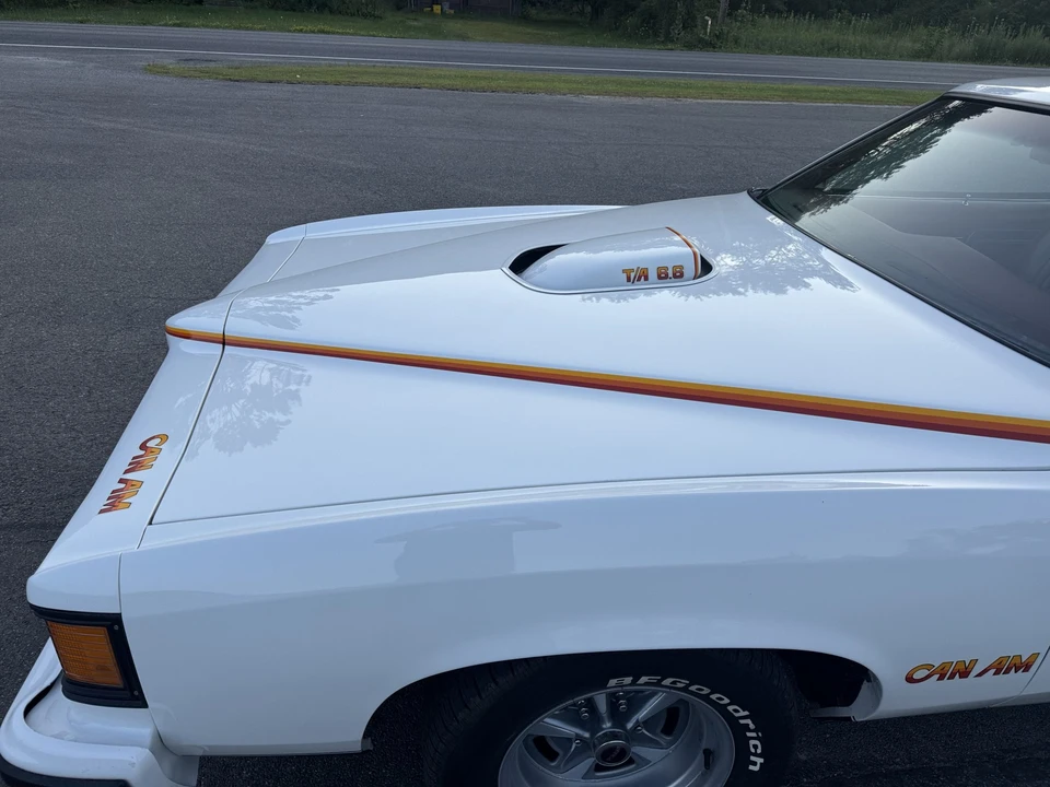 1977 Pontiac LeMans 4th+ Gen - Image 30 of 31