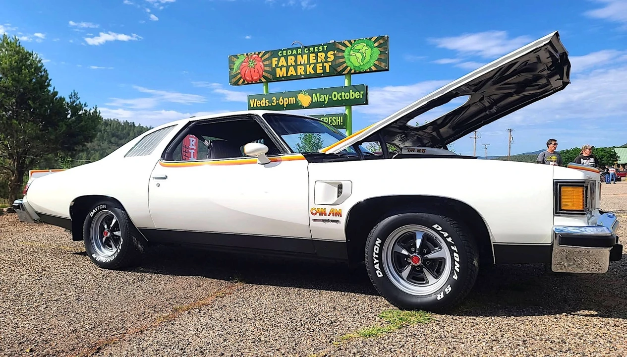 1977 Pontiac LeMans 4th+ Gen - Image 2 of 31