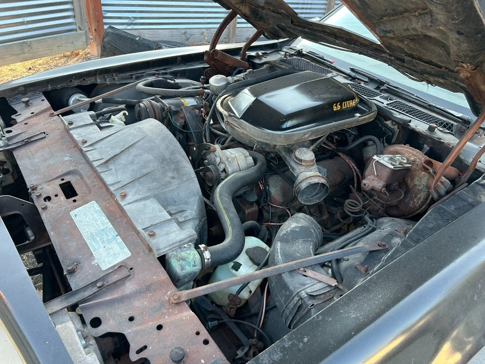 1977 Pontiac Firebird Trans Am 2nd Gen - Image 5 of 31