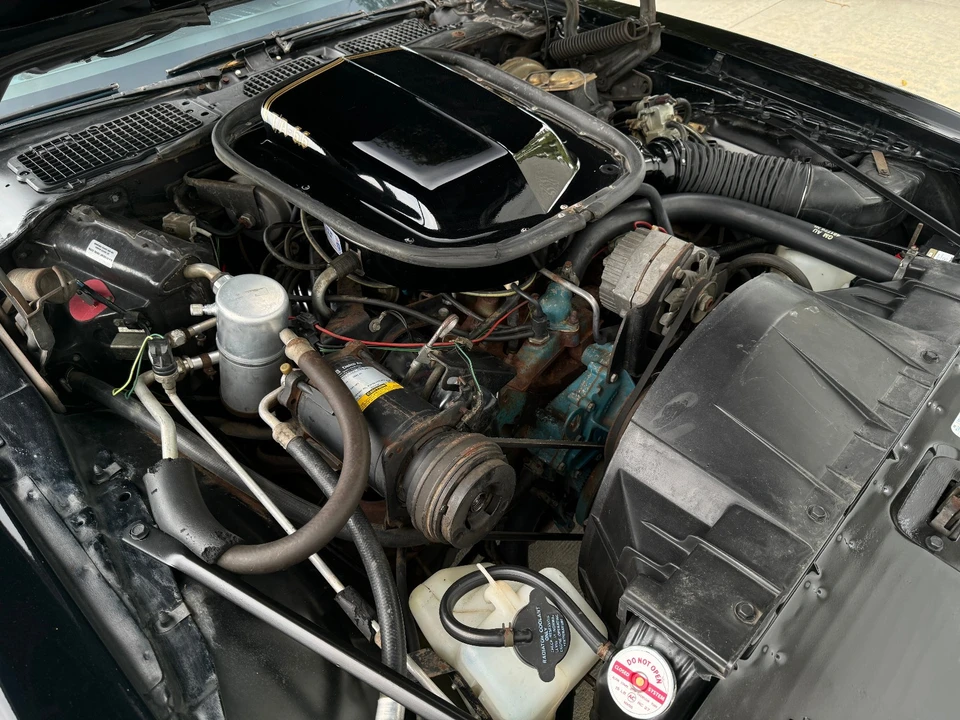 1977 Pontiac Firebird Trans Am 2nd Gen - Image 31 of 31