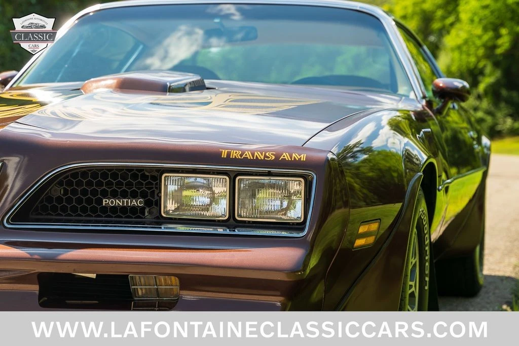 1977 Pontiac Firebird Trans Am 2nd Gen - Image 21 of 31
