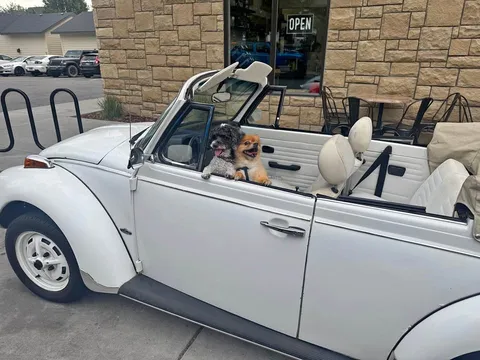 1977 Volkswagen Beetle 1.8T Classic Convertible 2D