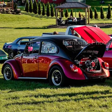 1977 Volkswagen Beetle
