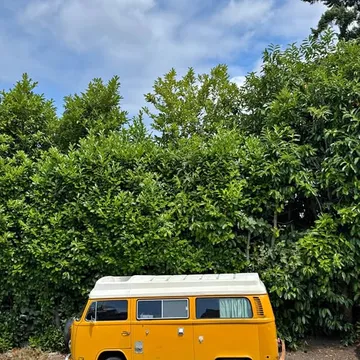 1977 Volkswagen Bus Camper