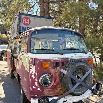 1977 Volkswagen Bus