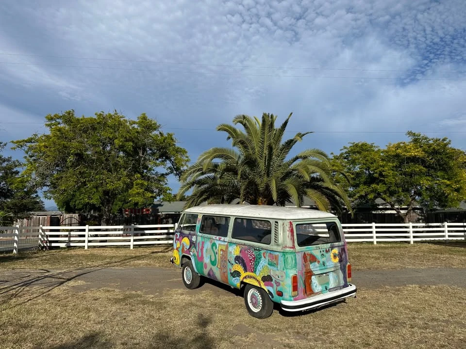 1977 Volkswagen Bay-Window Bus - Image 4 of 10
