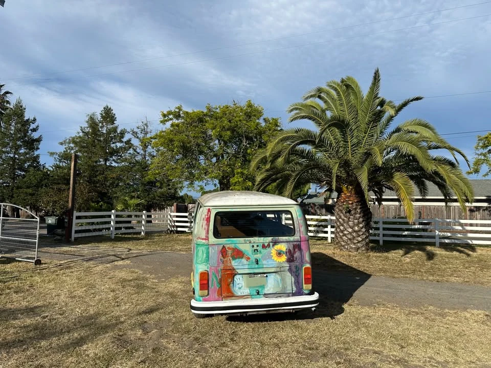 1977 Volkswagen Bay-Window Bus - Image 5 of 10