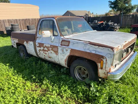 1977 Chevrolet C10 Pickup Regular Cab Short Bed