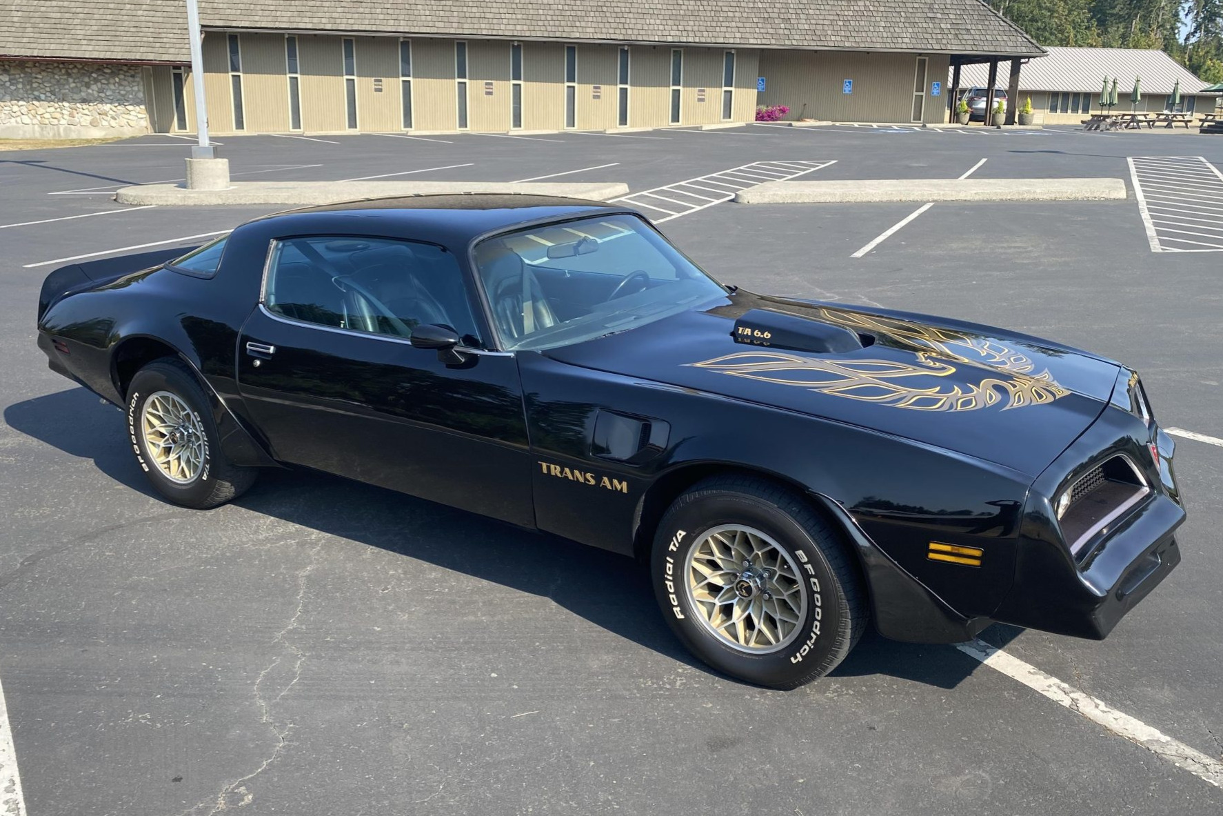 1977 Pontiac Firebird Trans Am for Charity