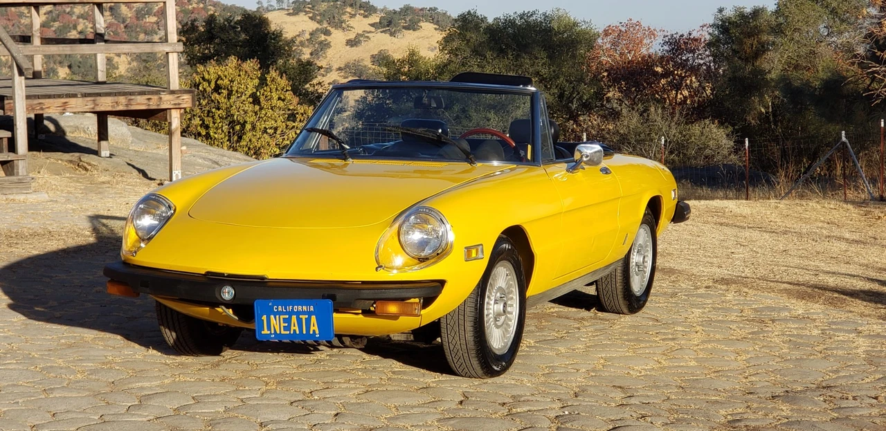 1978 Alfa Romeo Series 2 - Image 2 of 31