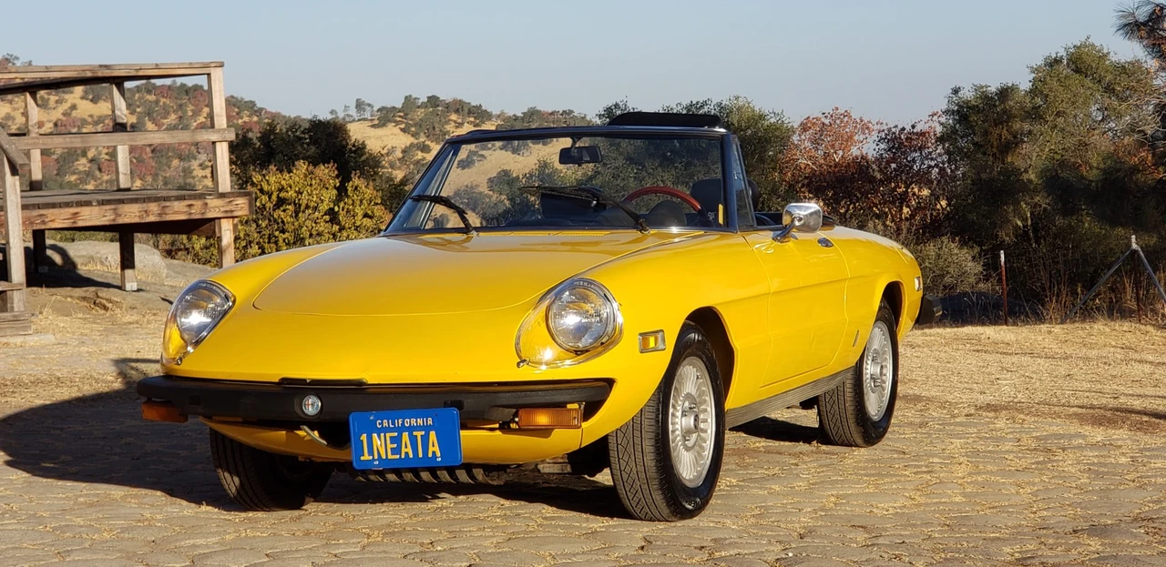 1978 Alfa Romeo Series 2 - Image 4 of 31