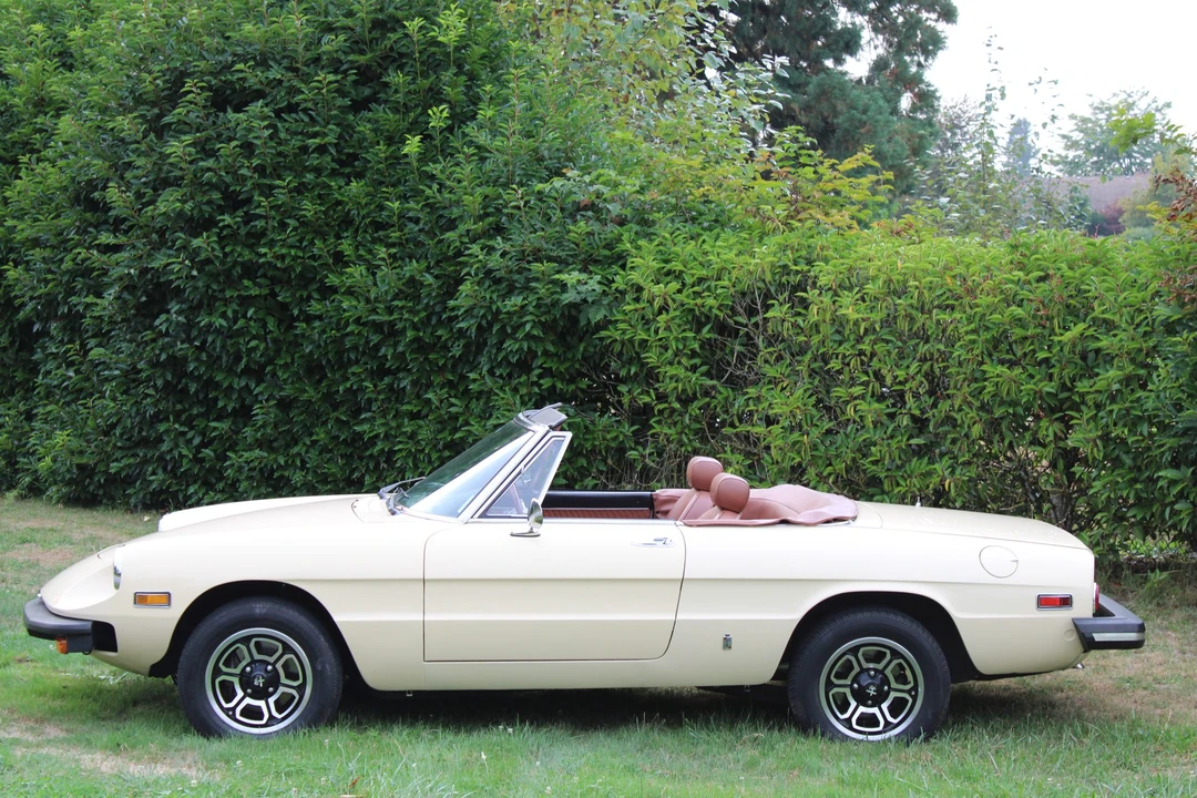 1978 Alfa Romeo Series 2 - Image 4 of 31