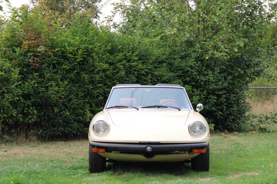 1978 Alfa Romeo Series 2 - Image 18 of 31