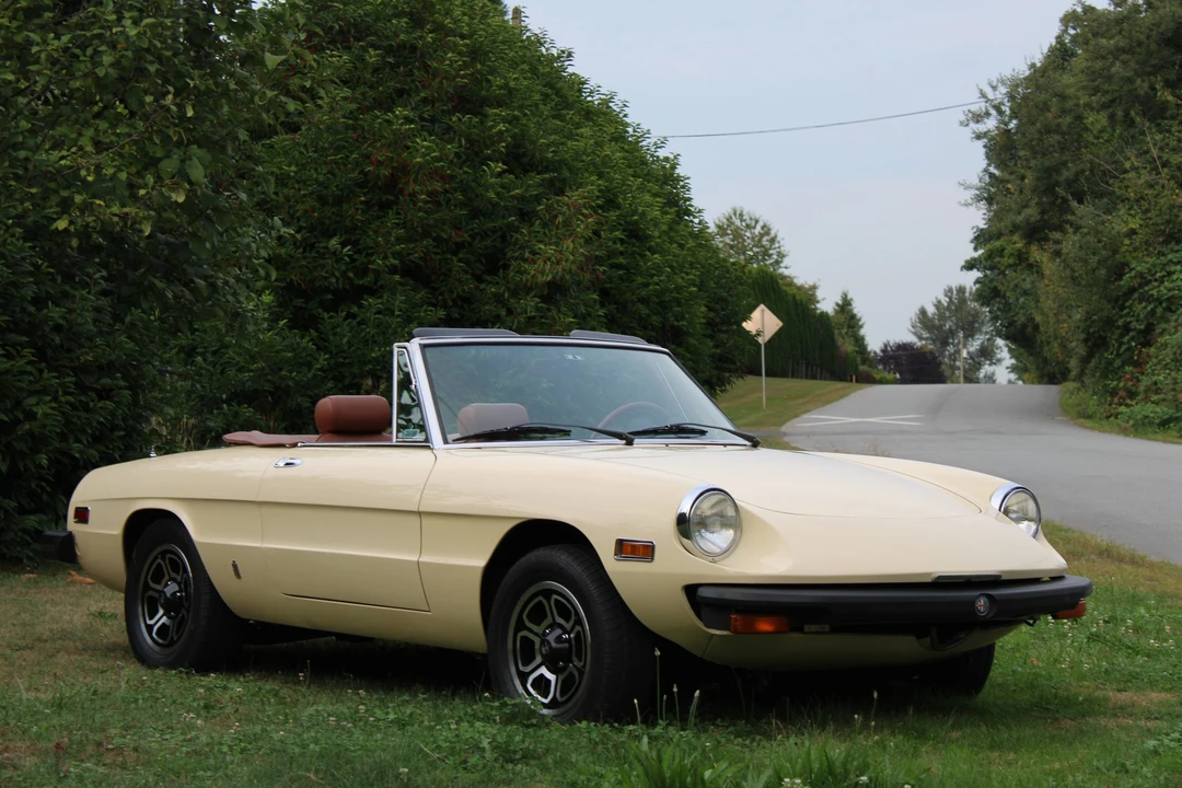 1978 Alfa Romeo Series 2 - Image 15 of 31