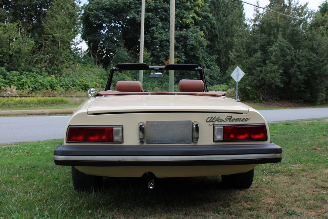 1978 Alfa Romeo Series 2 - Image 8 of 31