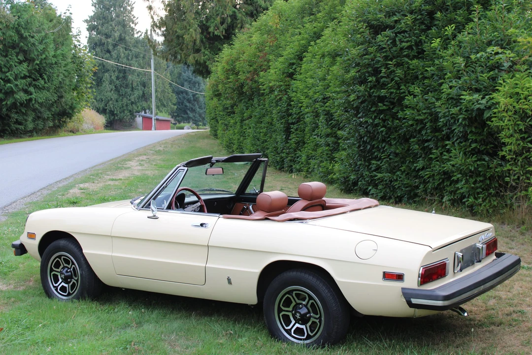 1978 Alfa Romeo Series 2 - Image 5 of 31