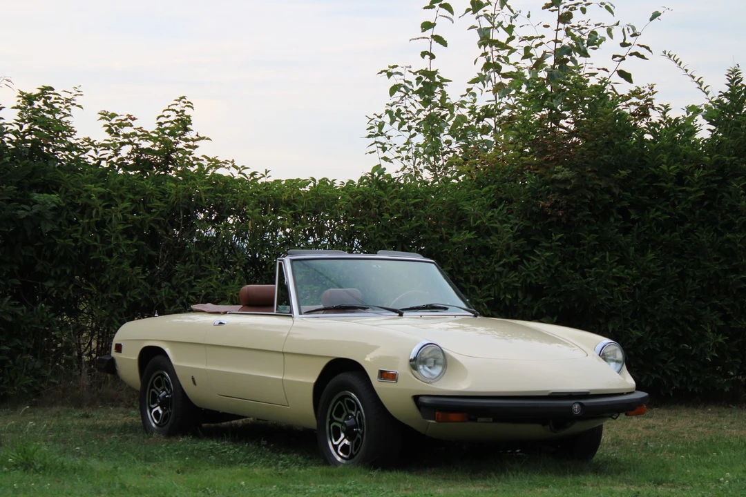 1978 Alfa Romeo Series 2 - Image 16 of 31