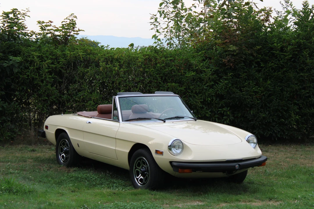 1978 Alfa Romeo Series 2 - Image 17 of 31