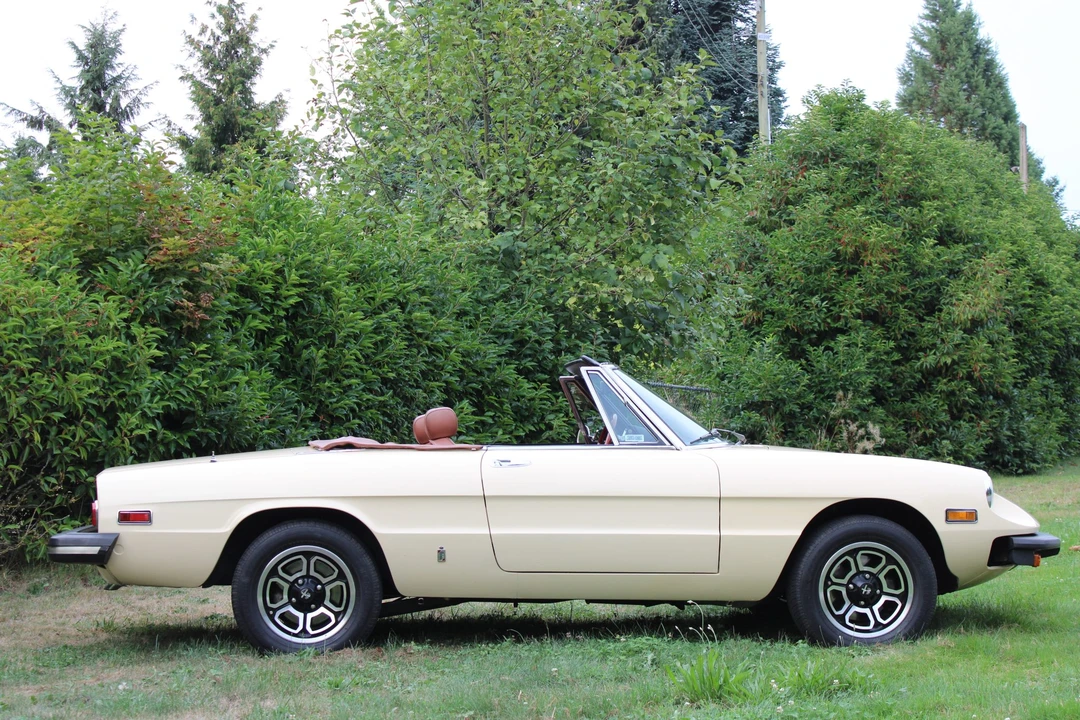 1978 Alfa Romeo Series 2 - Image 12 of 31