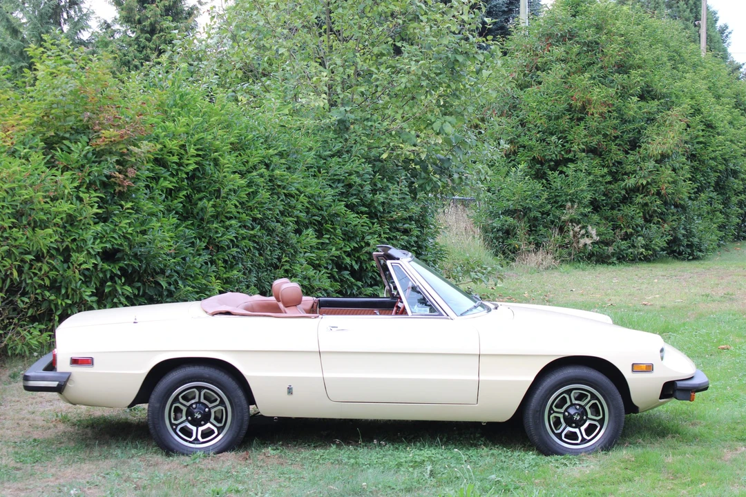 1978 Alfa Romeo Series 2 - Image 11 of 31