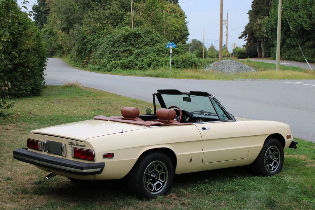 1978 Alfa Romeo Series 2 - Image 9 of 31