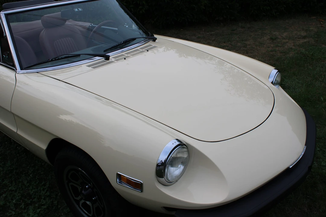 1978 Alfa Romeo Series 2 - Image 19 of 31