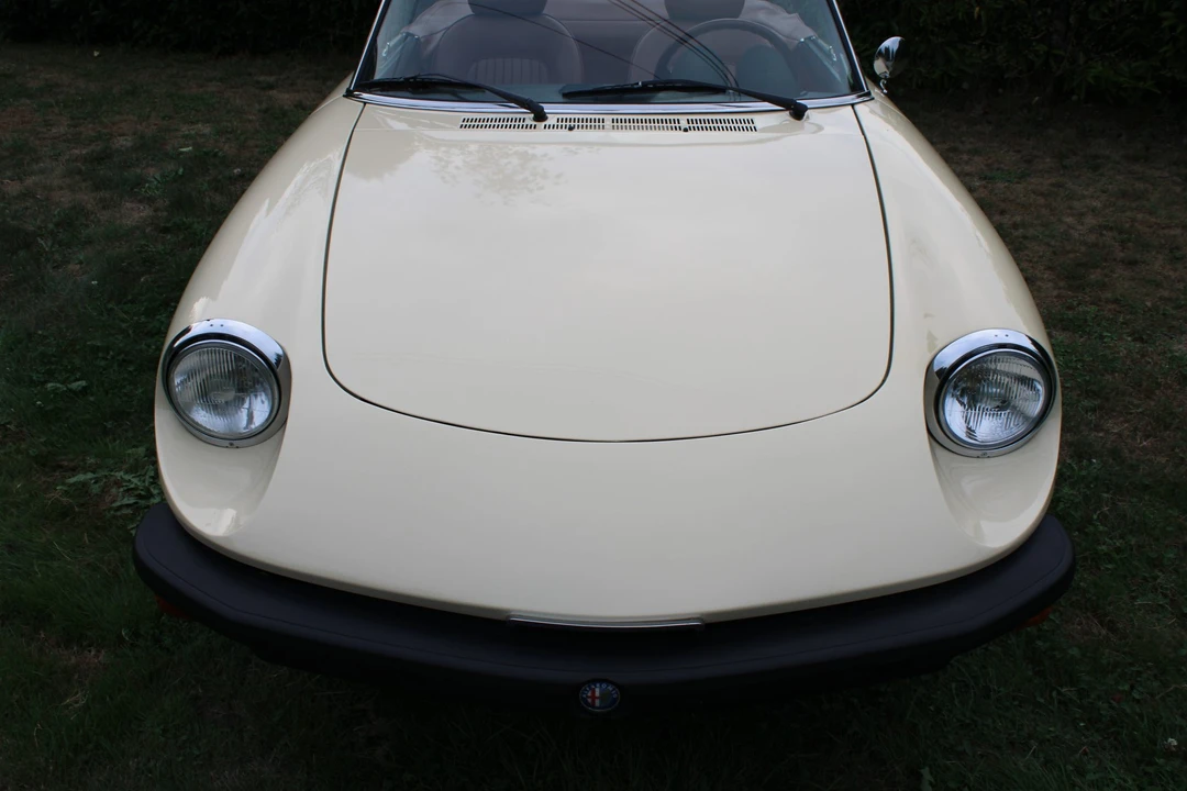 1978 Alfa Romeo Series 2 - Image 20 of 31