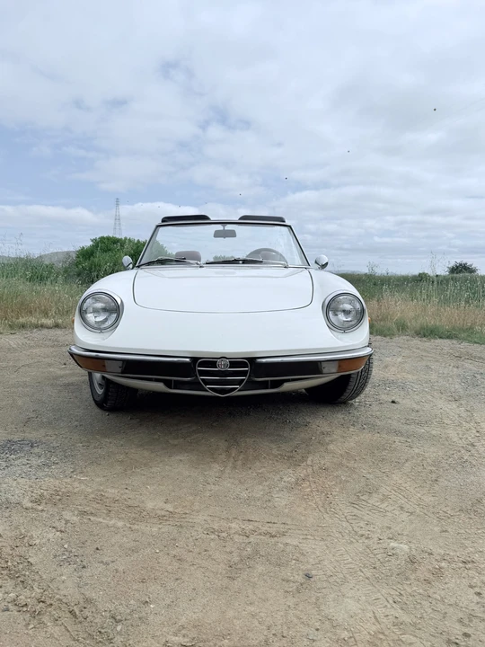 1978 Alfa Romeo Series 2 - Image 3 of 31