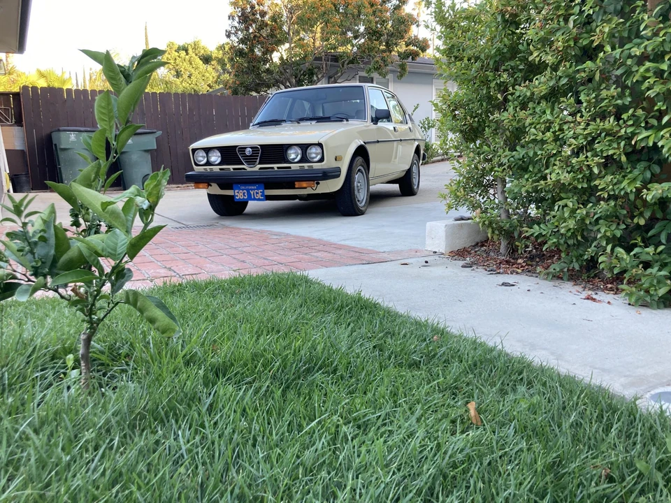 1978 Alfa Romeo Alfetta - Image 6 of 31